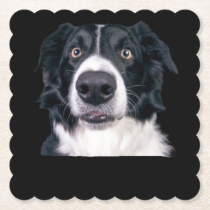 Schwarz-weißer Hundekopf Untersetzer