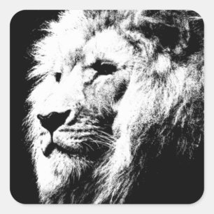 Schwarz-weißer Pop Art Lion Head Trendy Quadratischer Aufkleber