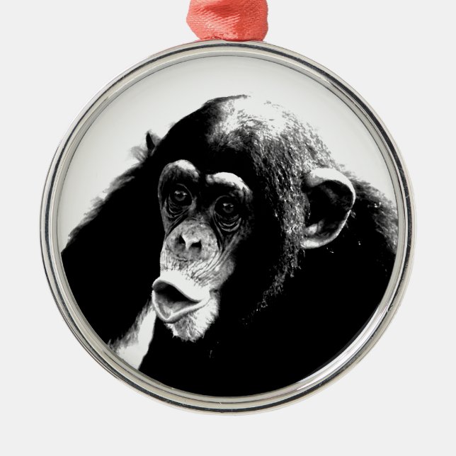 Schwarz-weißer Schimpanse Silbernes Ornament (Vorne)