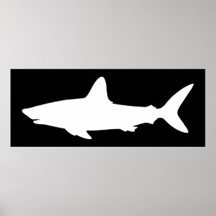 Schwarz-weißer Schwimmender Hai Poster