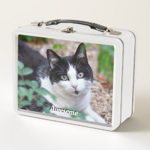 Schwarz-weißer Smoking-Katze-Foto Metall Brotdose