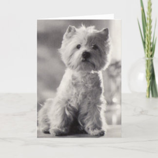Schwarz-weißer Westie Karte