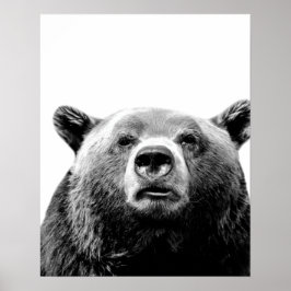 Schwarz-weißes Bärenwald tierisches Peekaboo Foto Poster