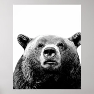 Schwarz-weißes Bärenwald tierisches Peekaboo Foto Poster