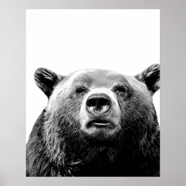 Schwarz-weißes Bärenwald tierisches Peekaboo Foto Poster (Vorne)