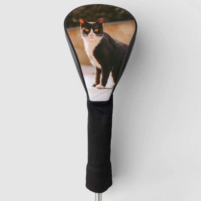 Schwarz-weißes Cat Foto Golf Head Cover Golf Headcover (Vorderseite)