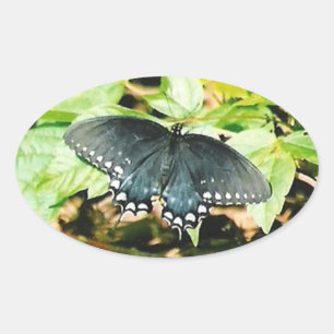 Schwarz-weißes Frack Butterfly Foto Stickers