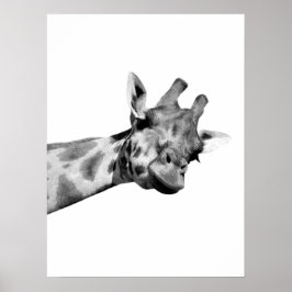 Schwarz-weißes giraffiniertes afrikanisches Pekabo Poster