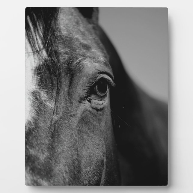 Schwarz-weißes Horseaugenkunstwerk Fotoplatte (Vorderseite)
