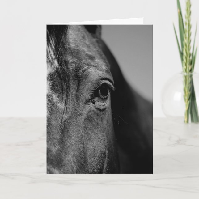 Schwarz-weißes Horseaugenkunstwerk Karte (Vorderseite)