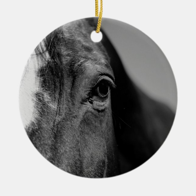 Schwarz-weißes Horseaugenkunstwerk Keramikornament (Vorne)