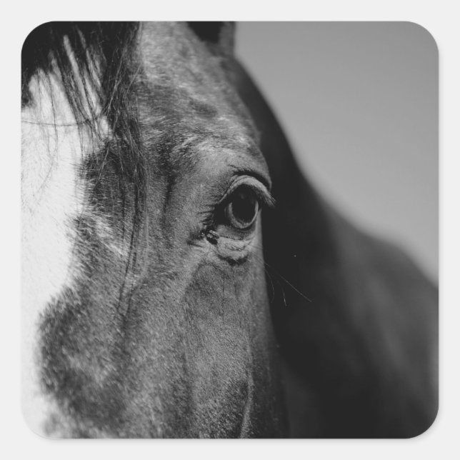 Schwarz-weißes Horseaugenkunstwerk Quadratischer Aufkleber (Vorderseite)