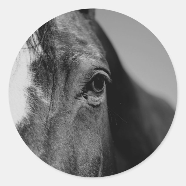 Schwarz-weißes Horseaugenkunstwerk Runder Aufkleber (Vorderseite)