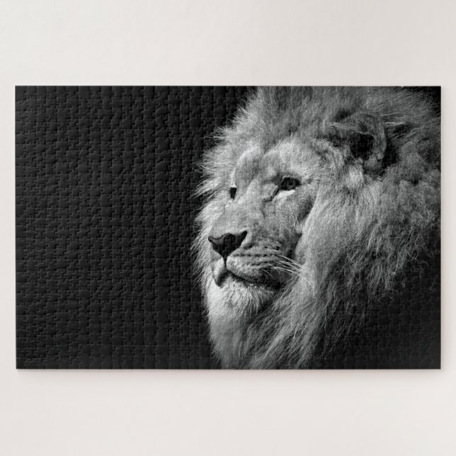 Schwarz-weißes Löwenportrait - Tierfotografie (Horizontal)