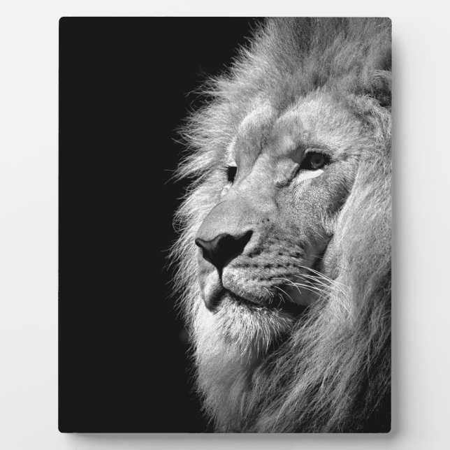 Schwarz-weißes Löwenportrait - Tierfotografie Fotoplatte (Vorderseite)