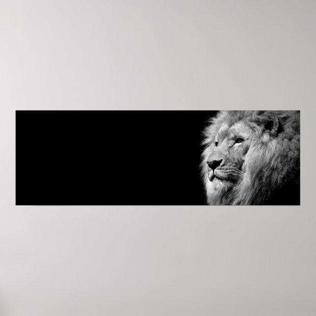 Schwarz-weißes Löwenportrait - Tierfotografie Poster (Vorne)