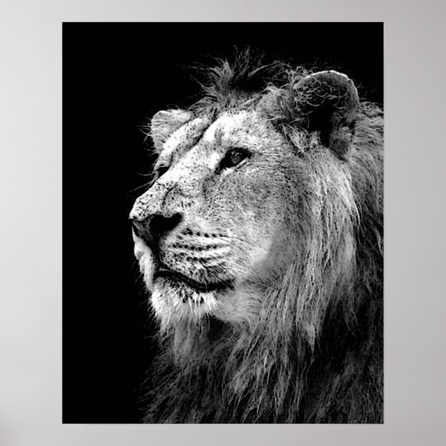 Schwarz-weißes Löwenposter - Tierfotografie Poster (Vorne)