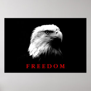 Schwarz-weißes Motivierend Freedom Eagle Eyes Post Poster