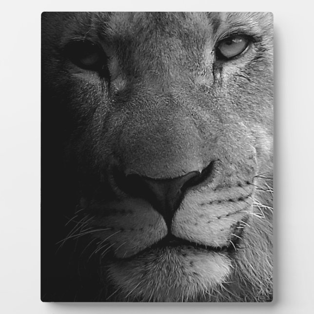 Schwarz-weißes Motivierend Leadership Lion Portrai Fotoplatte (Vorderseite)