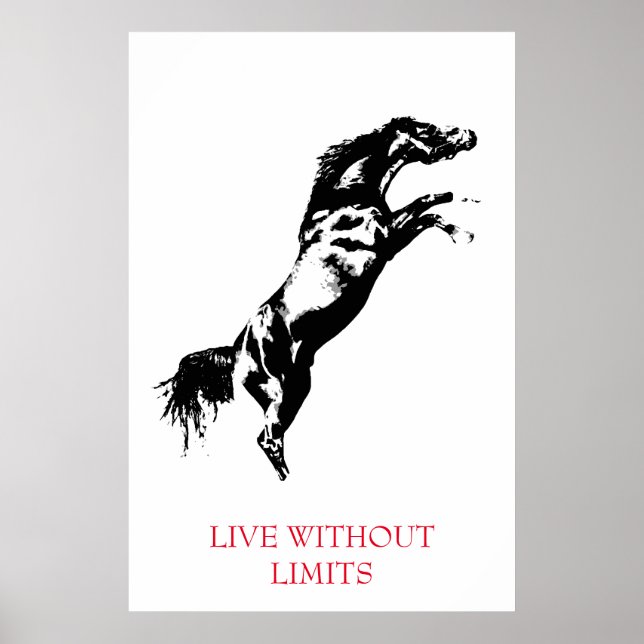Schwarz-weißes Motivierend Pferd ohne Grenzen Poster (Vorne)