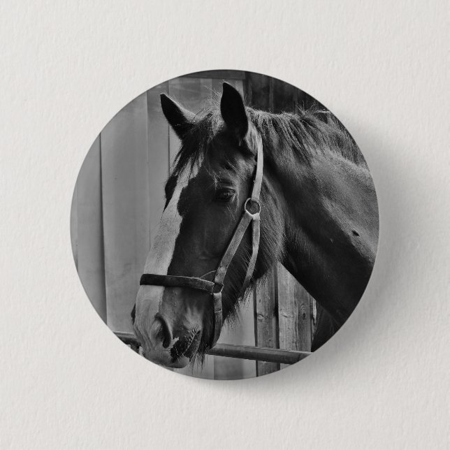 Schwarz-weißes Pferd - Tierfotografie Button (Vorderseite)