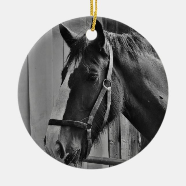 Schwarz-weißes Pferd - Tierfotografie Keramik Ornament (Vorne)