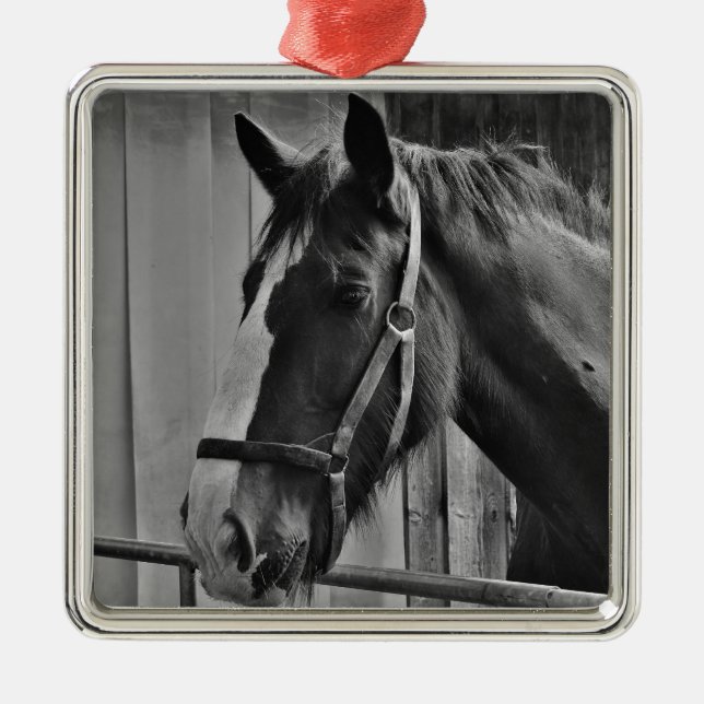 Schwarz-weißes Pferd - Tierfotografie Ornament Aus Metall (Vorne)