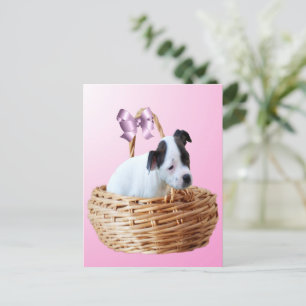 Schwarz-weißes Staffordshire-Welpe, Postkarte