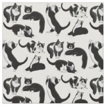Schwarz-weißes Tuxedo-Katzen-Gewebe