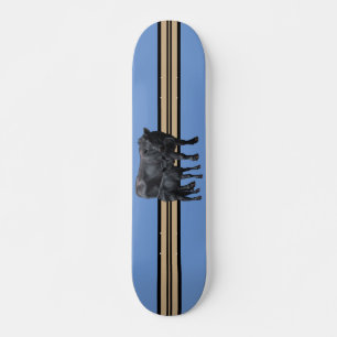 Schwarzanguskühe und Niedliches Kalb Skateboard