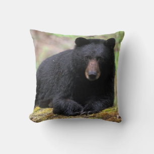 Schwarzbär auf einem alten Baumstamm in dem Kissen