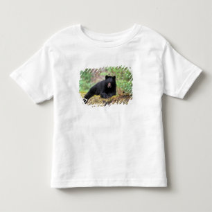 Schwarzbär auf einem alten Baumstamm in der Kleinkind T-shirt