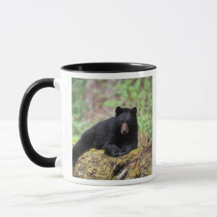 Schwarzbär auf einem alten Baumstamm in der Tasse