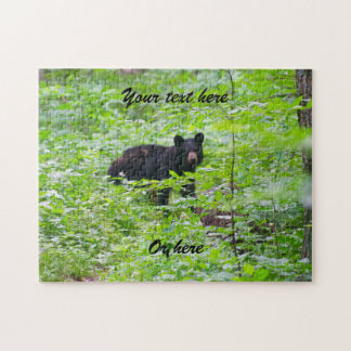 Schwarzbär im Wald
