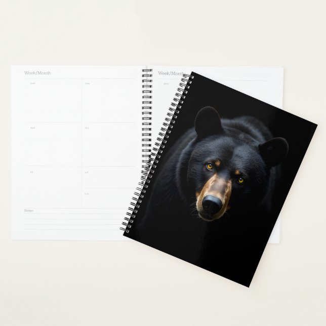 Schwarzbär Planer (Anzeige)