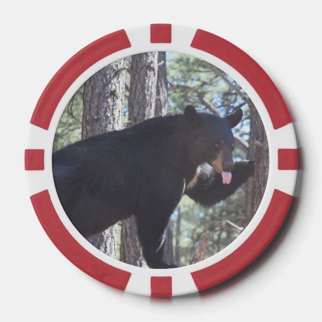 Schwarzbär Pokerchips (Vorderseite)