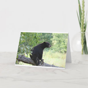 Schwarzbär sitzend Baum Karte