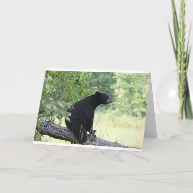 Schwarzbär sitzend Baum Karte (Vorderseite)