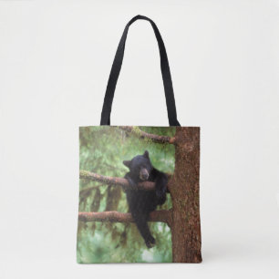 Schwarzbär, Ursus americanus, cub in einem Baum Tasche