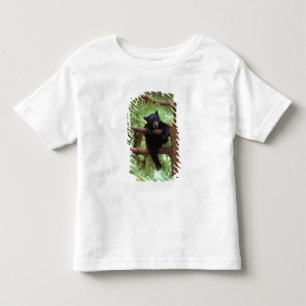 Schwarzbär, Ursus americanus, Jungtier in einem Ba Kleinkind T-shirt
