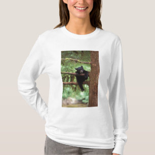 Schwarzbär, Ursus americanus, Jungtier in einem Ba T-Shirt