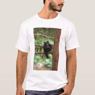 Schwarzbär, Ursus americanus, Jungtier in einem Ba T-Shirt