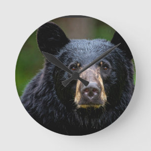 Schwarzbär-Wildnis-Design Runde Wanduhr