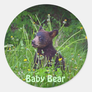 Schwarzbärenkuppe, die Dandelions Foto frisst Runder Aufkleber