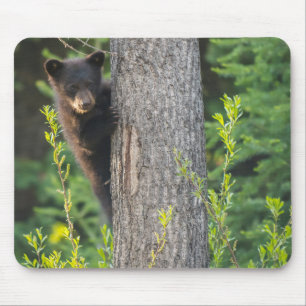 Schwarzbärenkuppe im Springtime Mousepad