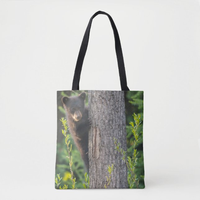 Schwarzbärenkuppe im Springtime Tasche (Vorderseite)