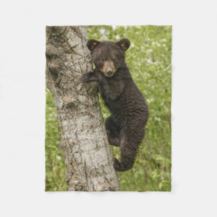 Schwarzbärjunges im Baum Fleecedecke