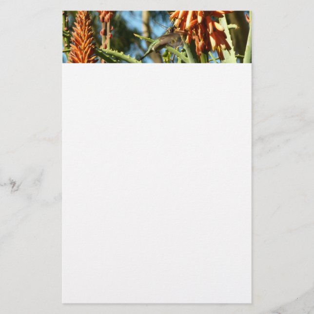 Schwarzbraun-Hummingvogel im Flug Briefpapier (Vorderseite)