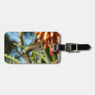 Schwarzbraun-Hummingvogel im Flug Gepäckanhänger