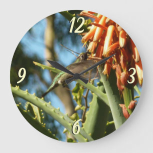 Schwarzbraun-Hummingvogel im Flug Große Wanduhr